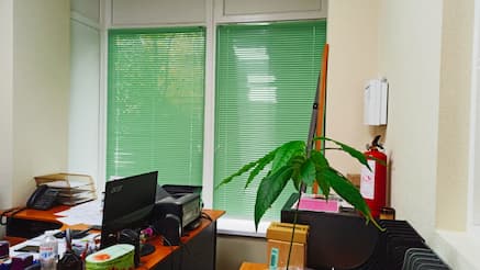 Горизонтальные жалюзи - установлены 22.09.2021