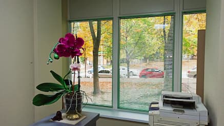 Горизонтальные жалюзи - установлены 22.09.2021