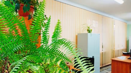 Вертикальные жалюзи - установлены 25.10.21