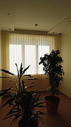 Вертикальные жалюзи - установлены 09.11.21