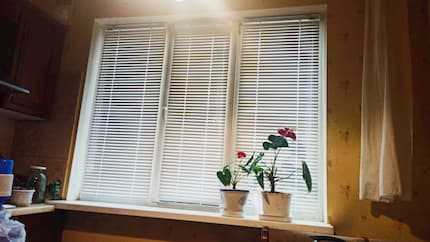 Горизонтальные жалюзи - установлены 03.11.2020