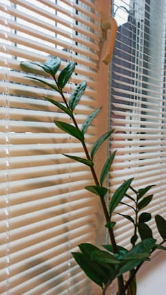 Горизонтальные жалюзи - установлены 28.01.2021