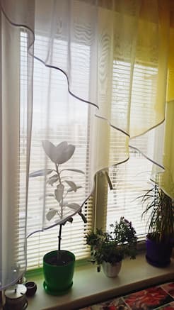 Горизонтальные жалюзи - установлены 18.03.2021