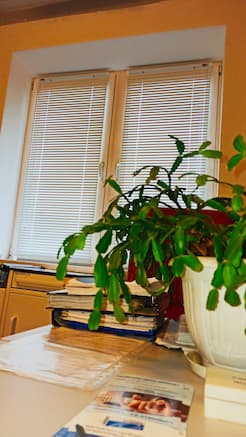 Горизонтальные жалюзи - установлены 02.04.2021